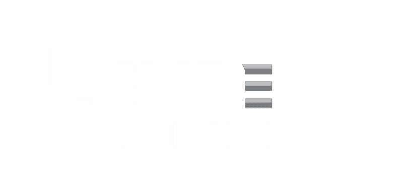 Levaero Aviation logo featuring modern design and branding elements.